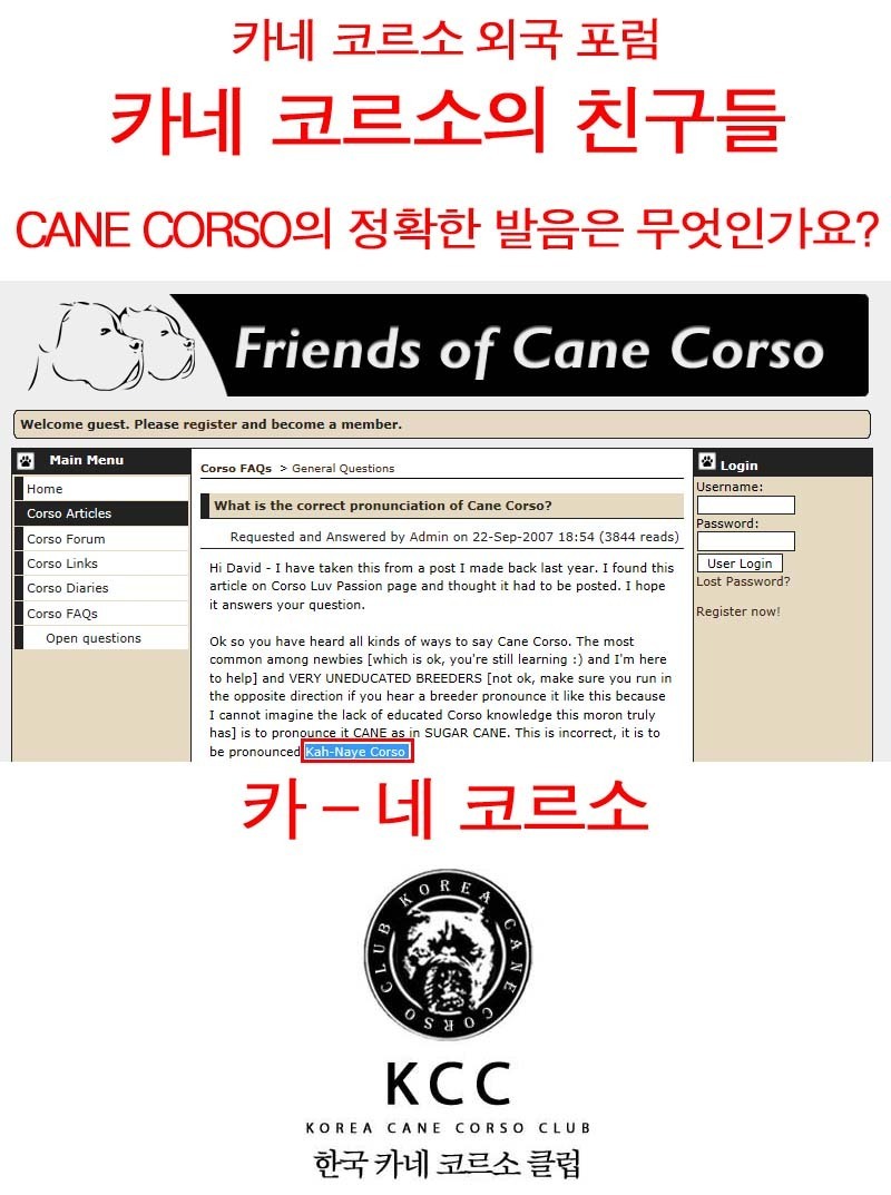 올바른친구들 이미지