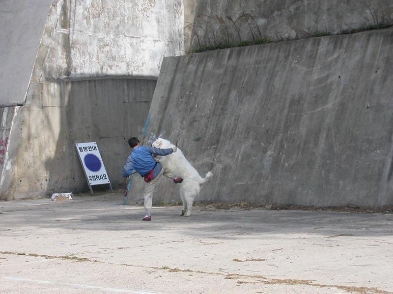 한잔하고가 이미지