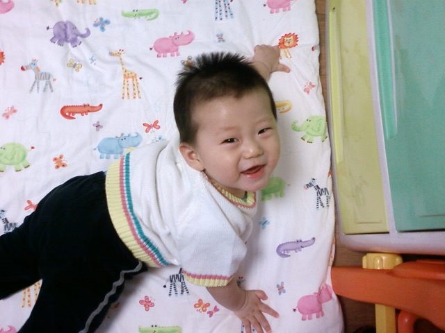 도경 이미지