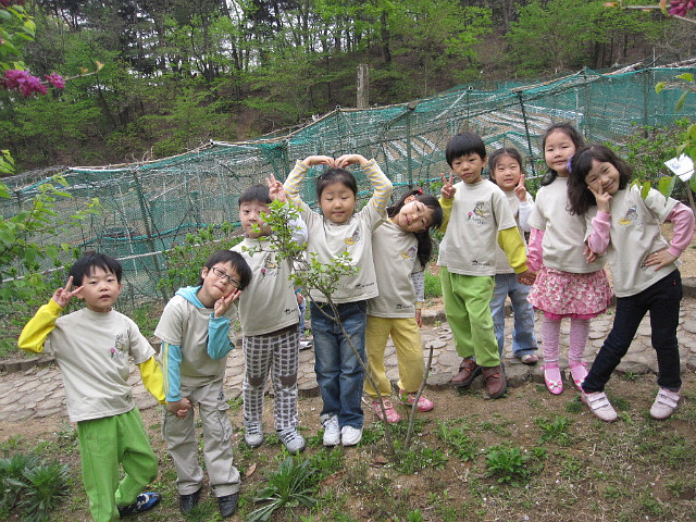 숲소리어린이집 이미지