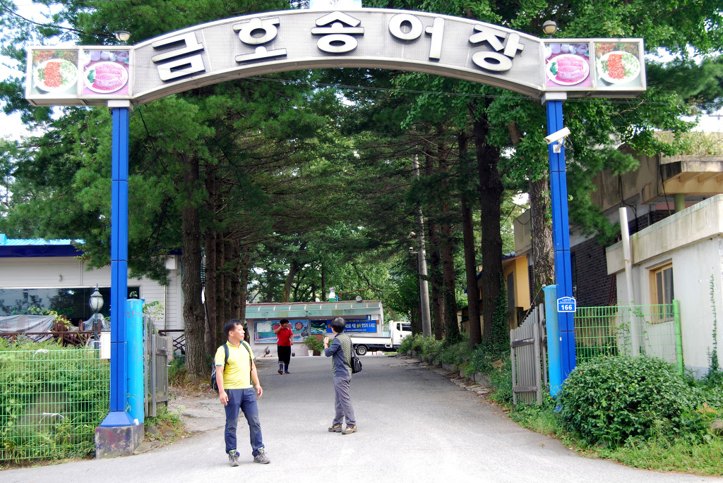 장어랑송어랑 이미지