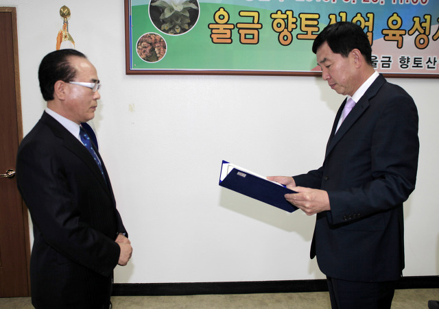 진도울금 이미지