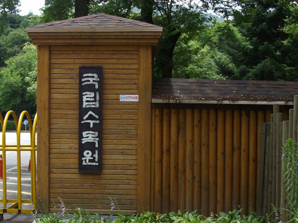 까치인력 이미지
