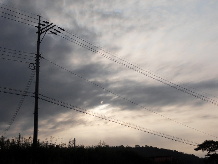 13036A224A9314ED233526