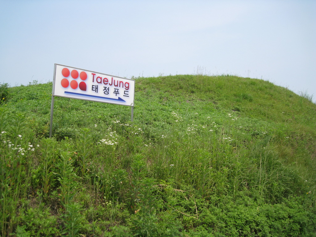 두콩식품 이미지
