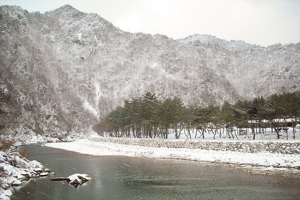리얼캠핑 이미지