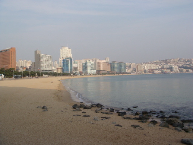 한잎 이미지