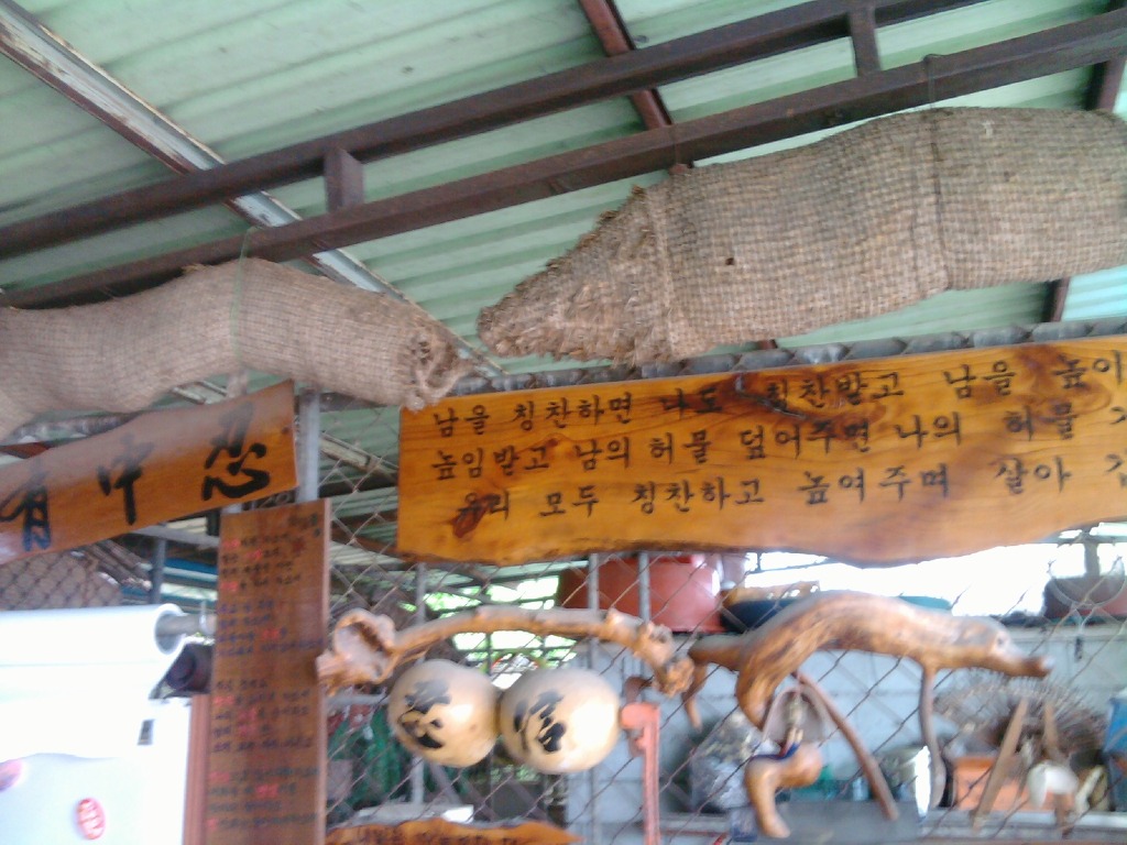 늘푸른농장 이미지