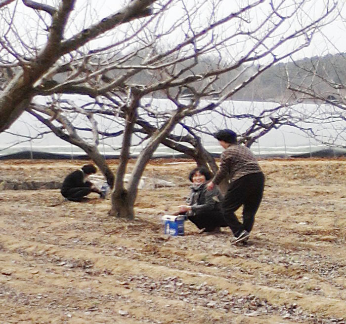 평산방 이미지