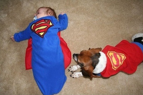 바라만 봐도 마음이 깨끗해지고 기분이 좋아짐..jpg | 인스티즈