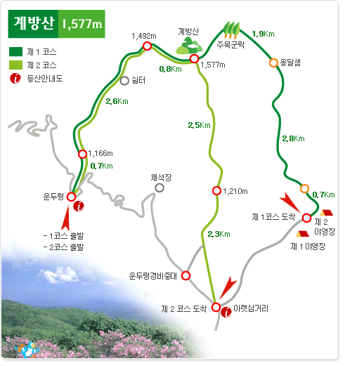 랑 이미지