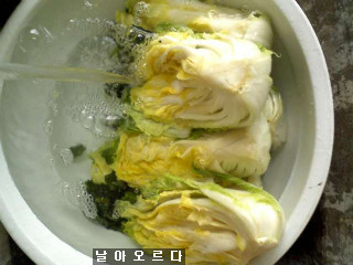 (주)알뜰 이미지