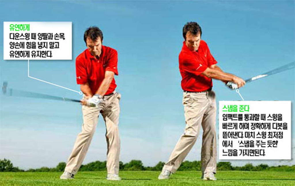 라이브룩 이미지