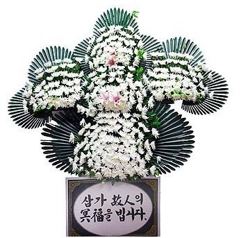 (의)안동병원 이미지