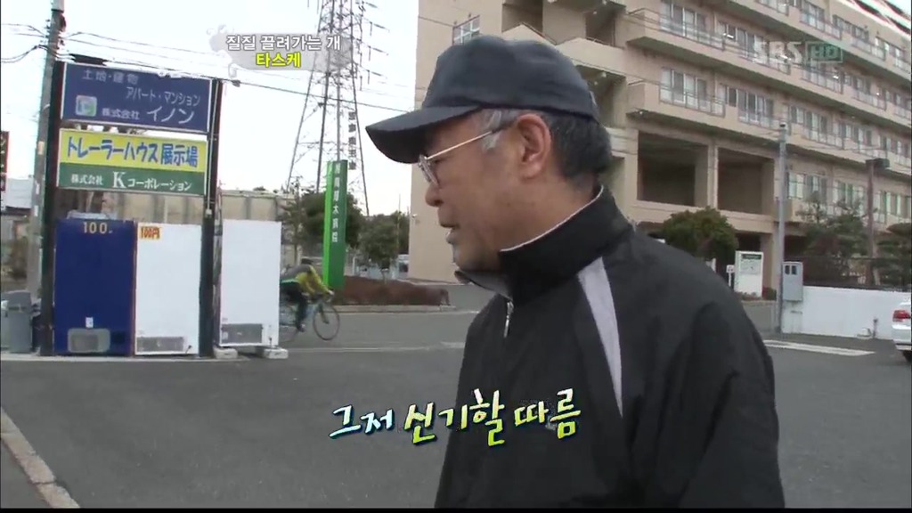 [동물농장] 목줄로 질질 끌려다니는 개.JPG | 인스티즈