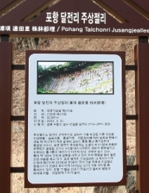 자명초등학교 이미지