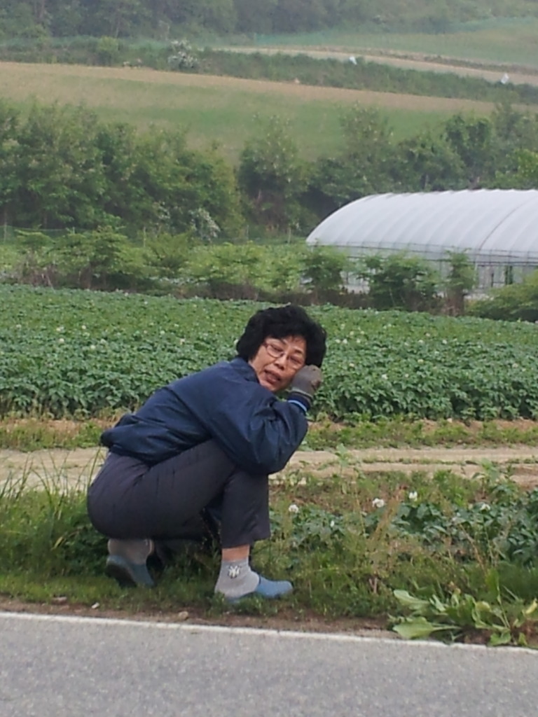둔내농장 이미지