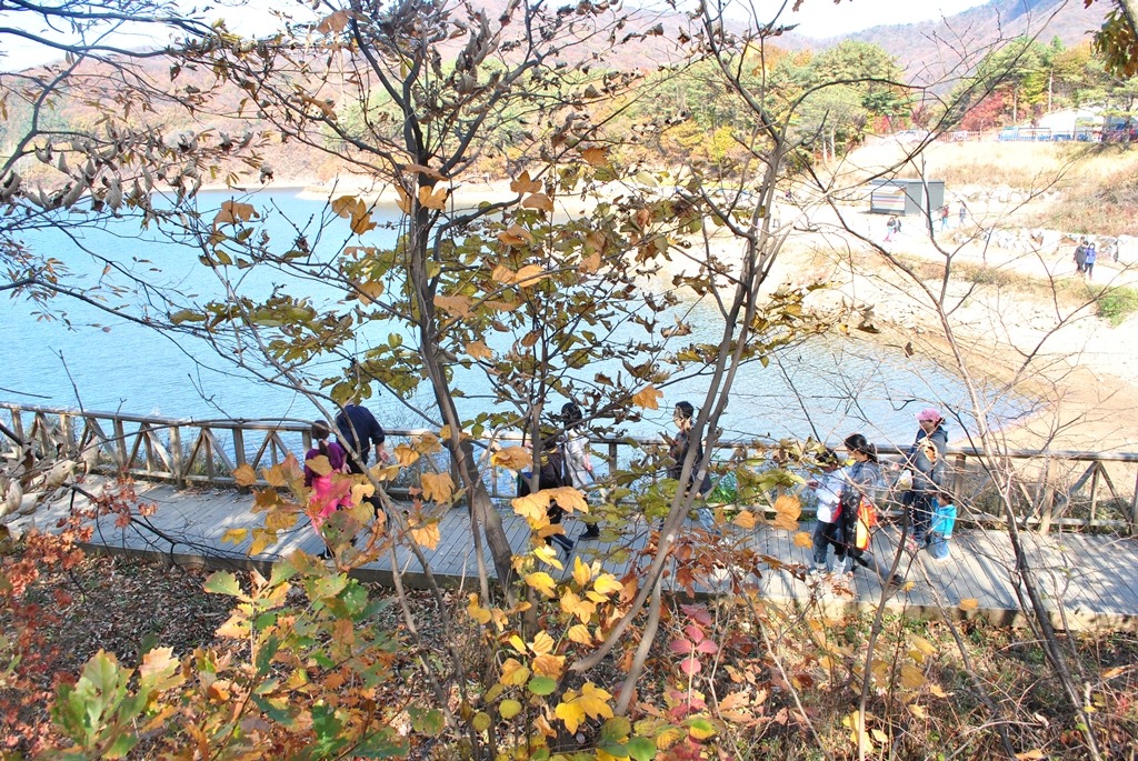 반디이캠핑 이미지