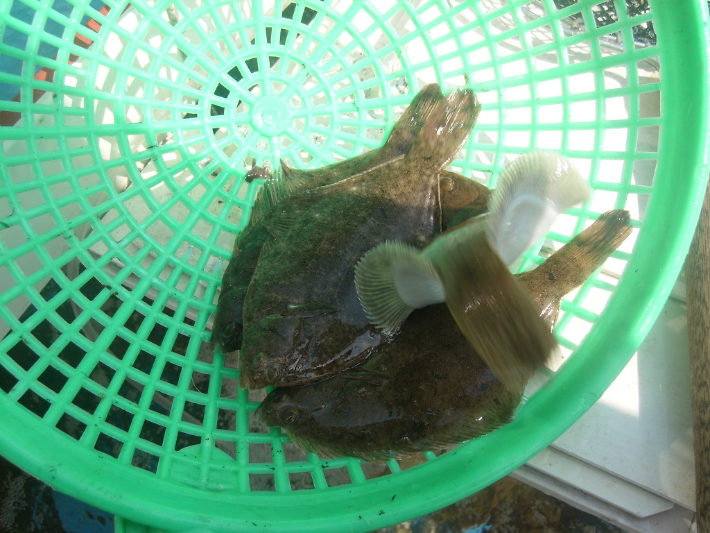 충청도횟집 이미지