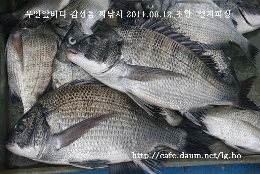 홀통낚시 이미지
