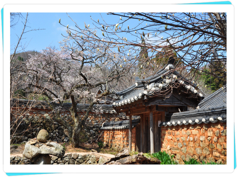 선암사 이미지