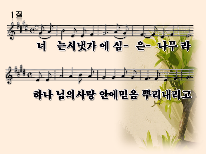 시냇가에심은나무 이미지