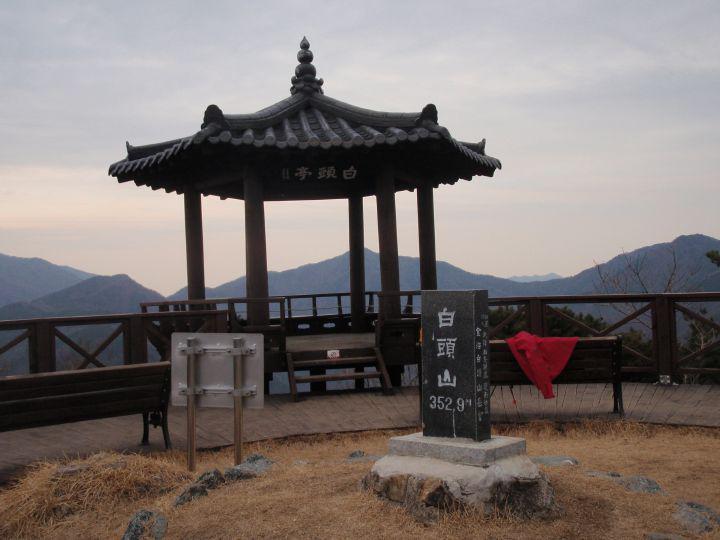 꼬꼬야 이미지