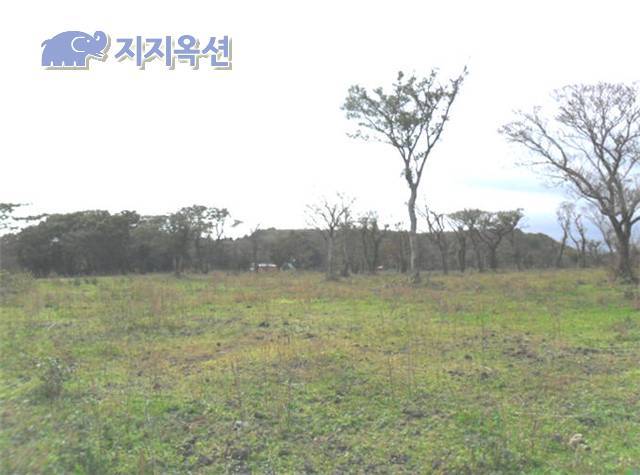 법무법인해오름 이미지