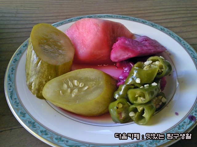 안나비니 이미지