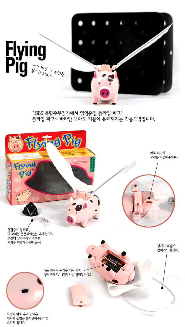 플라잉 피그 이미지