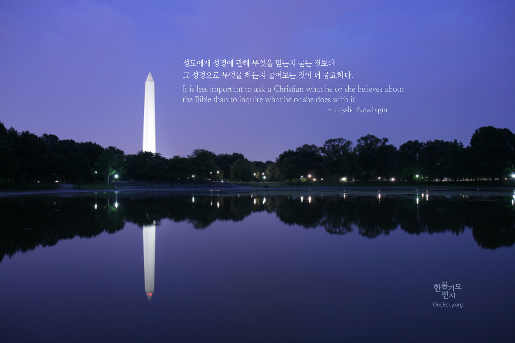 나무아래 이미지