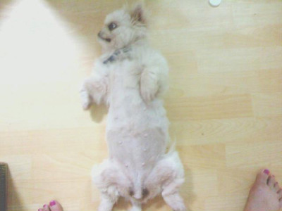 곰순이 이미지