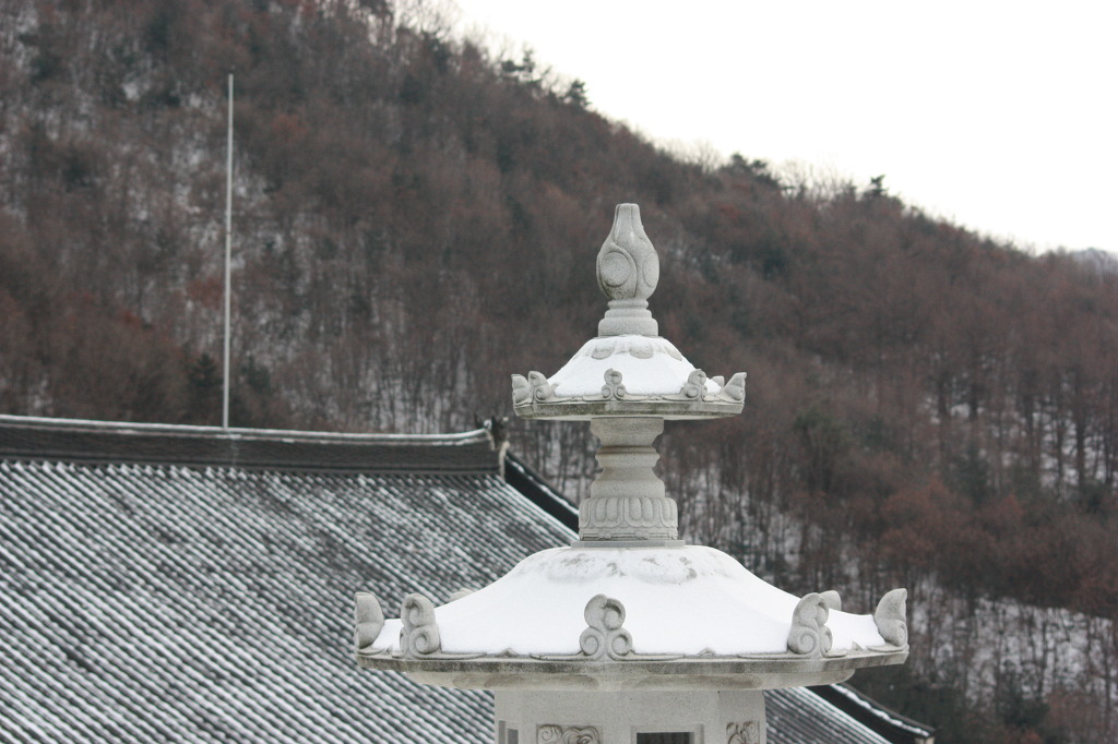 육지장사 이미지