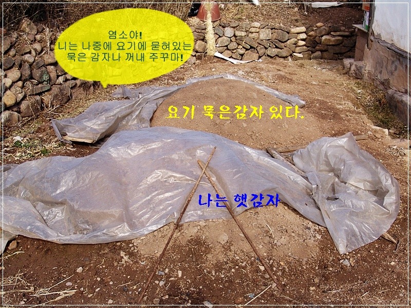 시골냉장고 이미지