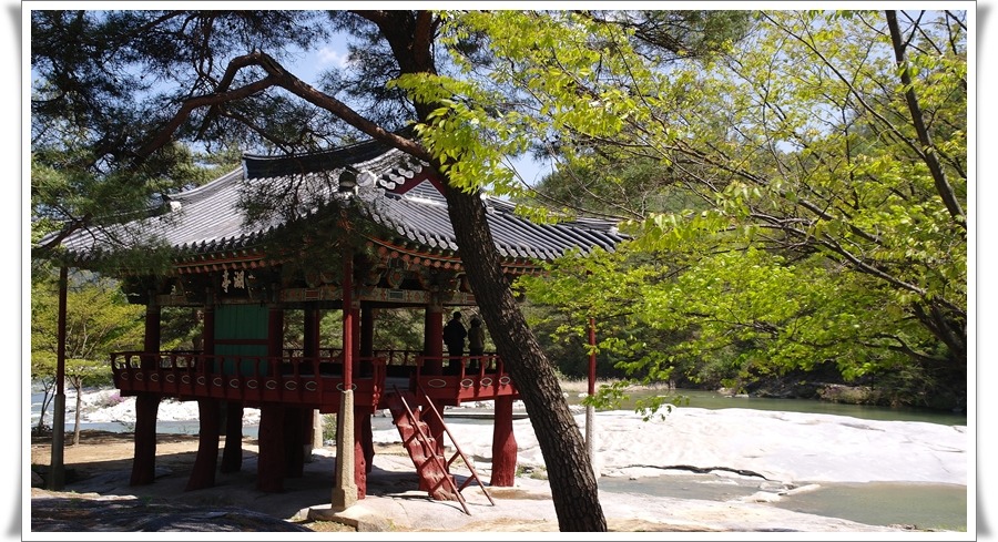 화림 이미지