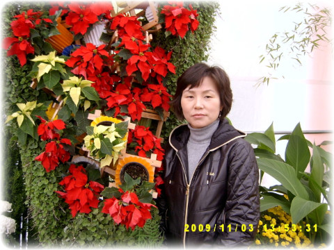 국화호수 이미지