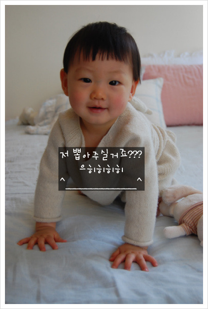동동이네 이미지