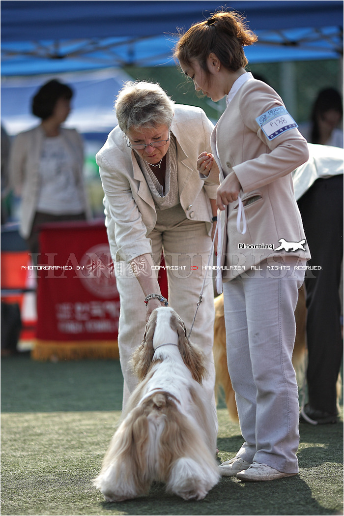 고양고등학교 이미지