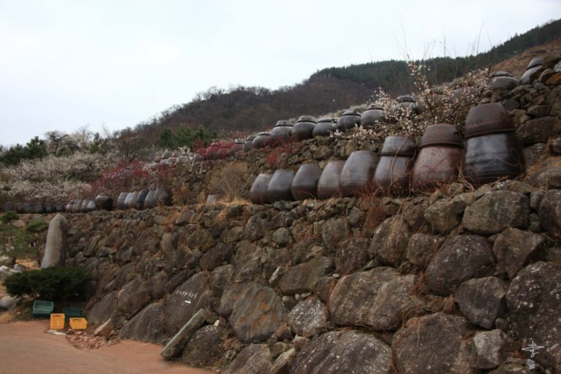 한재풍경 이미지