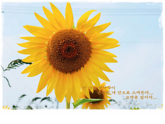 반품아울렛 이미지