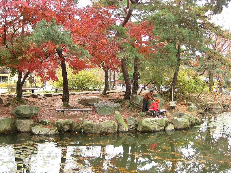 과천사랑방 이미지