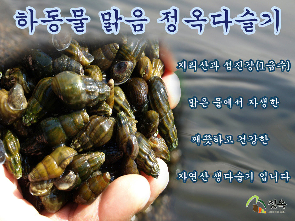 자연산다슬기집 이미지