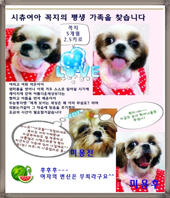 꼭지엄마 이미지