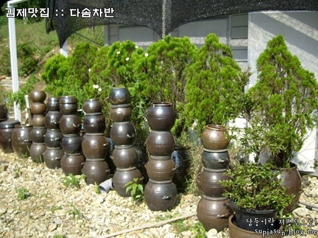 다솜차반 이미지