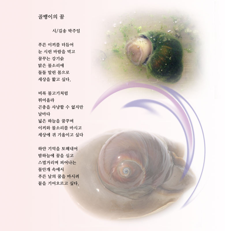 골뱅이의 꿈 이미지