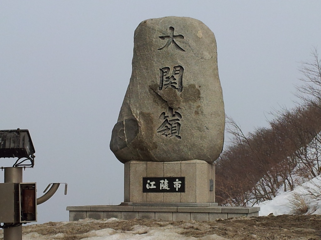 네파장암 이미지