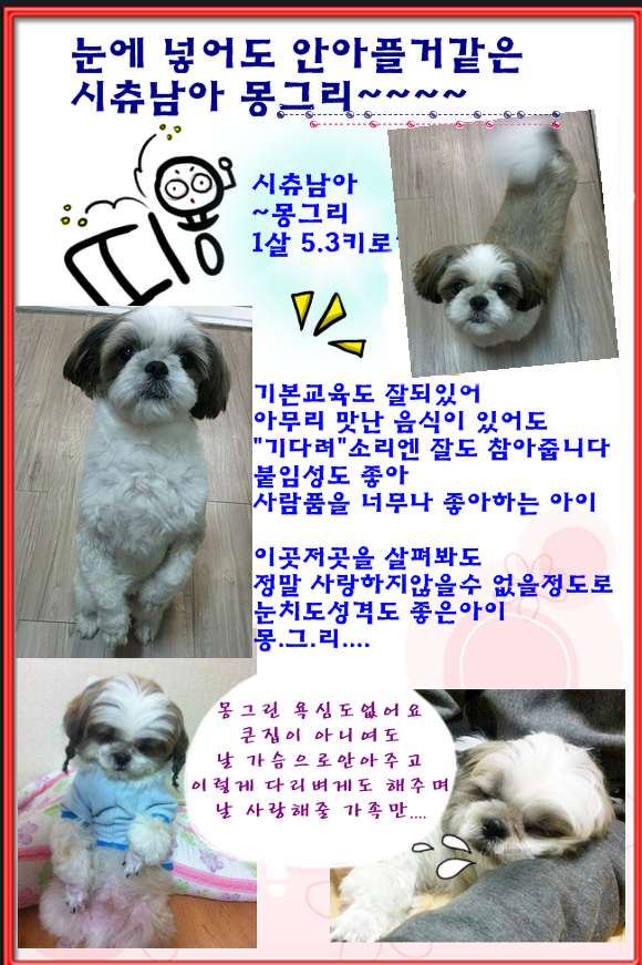 몽그리 이미지