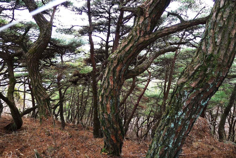 대산면(순창) 이미지