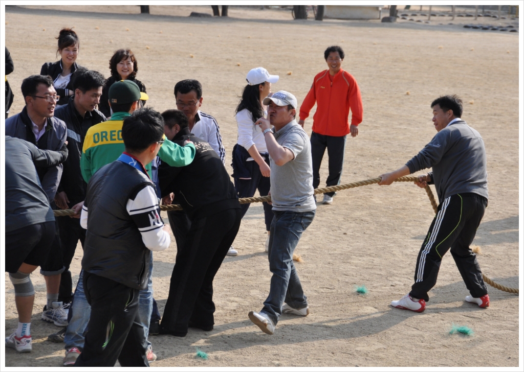 광성초등학교 이미지