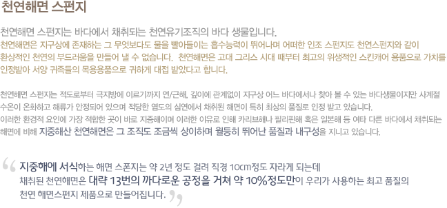 해면 이미지